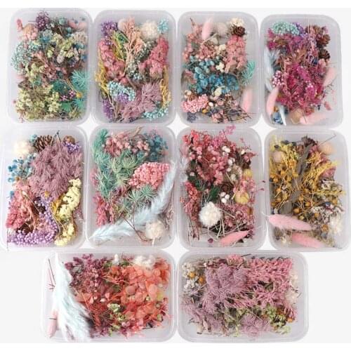1 Box Mix Beautiful Real Dried Flowers Natural Floral for Art Craft Scrapbooking Resin Jewelry Craft Making Epoxy Mold Filling