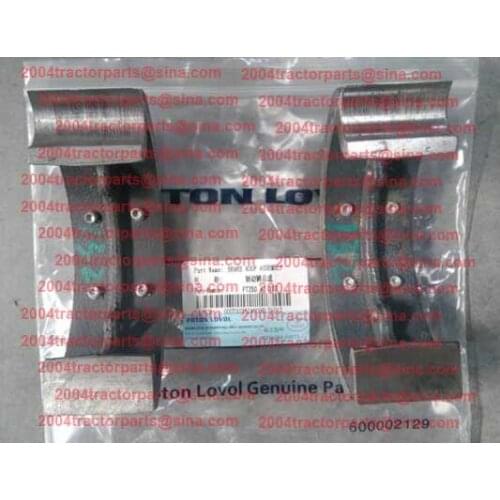 FT250.43.012 Brake Shoes for FOTON 20HP and 25HP Tractors