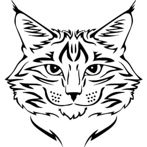 LLY-1712 Maine Coon Breed Kitten Animal Car Sticker PVC Exquisite Personality Waterproof Sunscreen Decal Can Be Customized Color