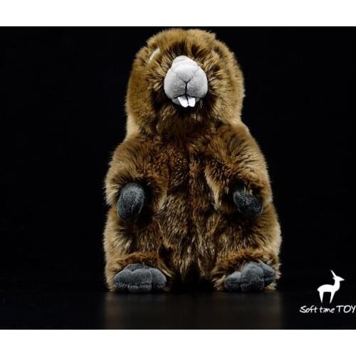 Groundhog doll simulation marmot doll simulation animal plush doll toy gift model