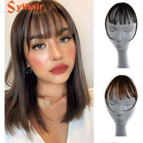 Sylhair Wig air bangs Wig Non-Remy Hair Short Hairpieces for women Hair Extension Clip In Front Hair Bangs Synthetic Hair