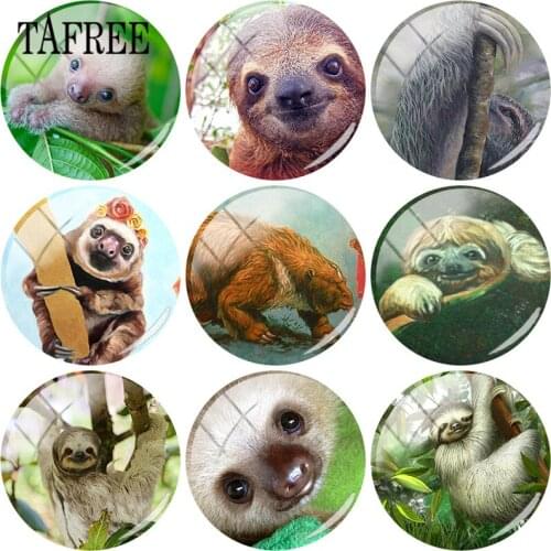 TAFREE Lazy Animal Sloths Images 25mm DIY Glass Cabochon Dome Charms For Keychain Necklaces Jewelry Accessories