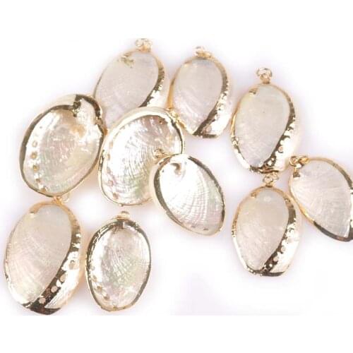 5pcs 25-31mm White Natural Sector Shell Gold Plated Crafts Handmade Ornaments For Pendant DIY Home Decoration Seashells TR0156x