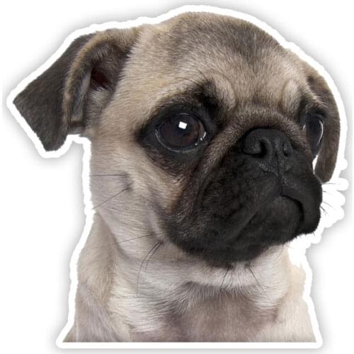 B0690# Self-adhesive Decal Pug Dog V3 Car Sticker Waterproof Auto Decors on Bumper Rear Window Motorcycle Laptop Helmet