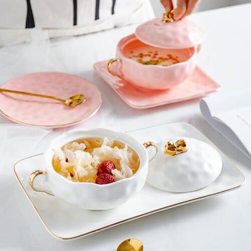 European style high-grade birds nest stew and beauty salon health care soup