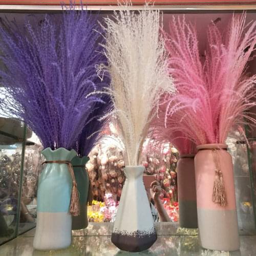 Real Dried Small Pampas Grass Wedding Flower Bunch Natural Plants Pampa Dry Flower Party Decoration House Decoration