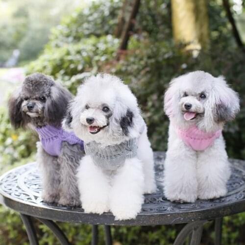 Pet Cat Puppy Clothes Pet Autumn Winter Warm Sweater Turtleneck Knitted For Small Dogs Chihuahua Yorkies Vest Jacket