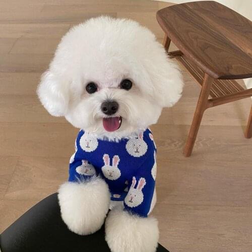 INS new Korean cute blue and white rabbit autumn and winter warm small dogs dog sweater pet warm core yarn sweater