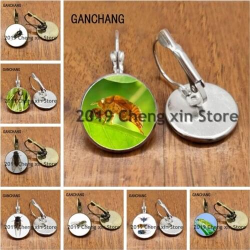 New cicada lucky insect earrings, unique earrings, super cute glass cabochon earrings