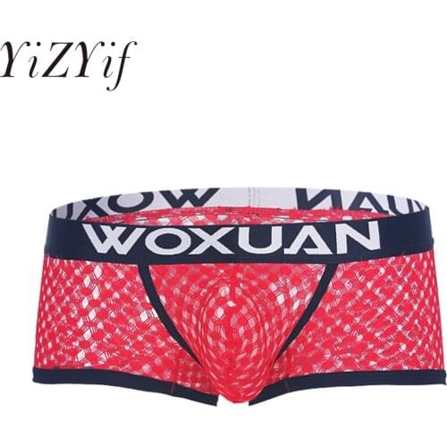 Sexy Mens Lingerie Hot See-through Panties Letter Print Grid Underwear Elastic Waistband Style Breathable Erotic Boxer Briefs