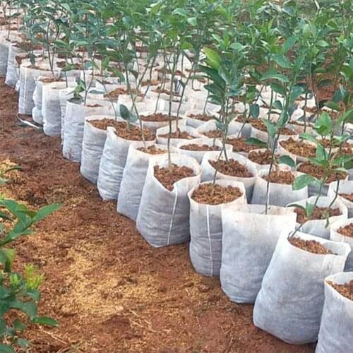 100Pcs Non-woven Seedling Pots Eco-Friendly Nursery Plant Grow Bags Fabric Pouch Planting Fabric Different Sizes Biodegradable
