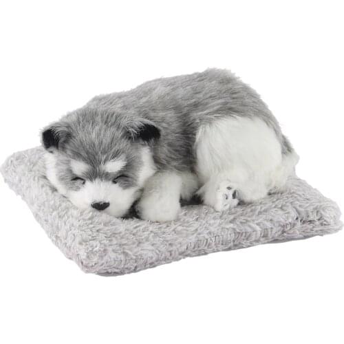 Plush Children Fun Toys Boy Animal Dog Cute Kawaii Simulation Girl Cat Teddy Gift Adult Car Decoration Activated Carbon Peluche