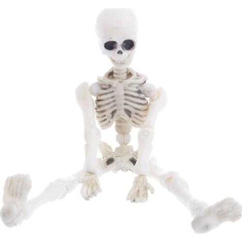 Movable Mr. Bones Skeleton Figure Human Model Skull Figure Model Full Body Mini Figure Toy for Kids Toys Halloween
