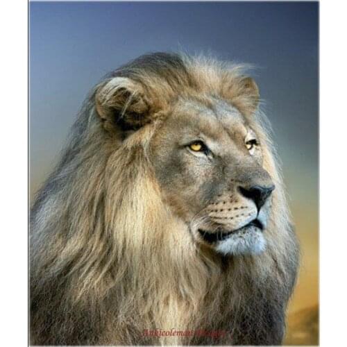 Your Majesty - Counted Cross Stitch Kits - Handmade Needlework for Embroidery 14 ct Cross Stitch Sets DMC Color