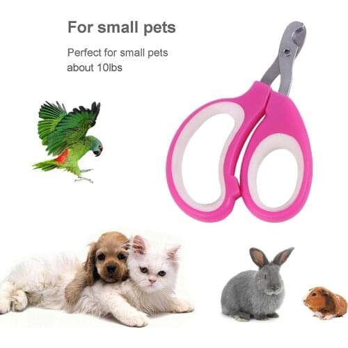 Pet Nail Clippers Cutter Trimmer Scissors For Small Animal Dog Cat Bird Guinea Pig Claws Portable Paw Cutter Bird Parrot Shear