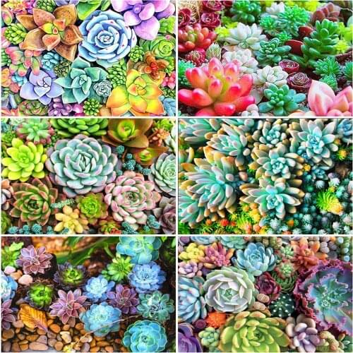 MomoArt 5D Diamond Embroidery Succulents Cross Stitch Set Diamond Mosaic Animal Full Drill Square Art Painting Picture Wall Art