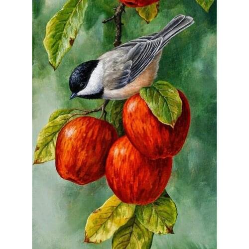 5D DIY full Square/Round Diamond Embroidery Birds and apples Diamond Painting handwork Cross Stitch Mosaic Home Decoration L241