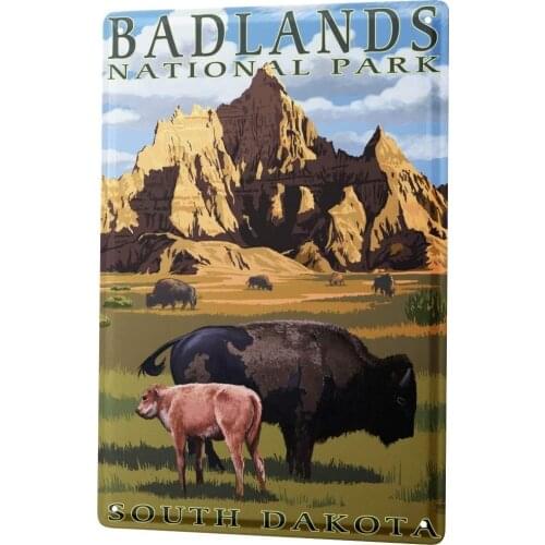 SINCE 2004 Tin Sign Metal Plate Decorative Sign Home Decor Plaques Holiday Travel Agency Badlands National Park