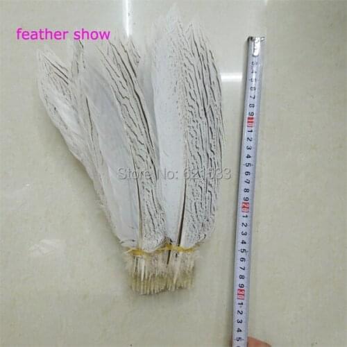 100Pcs/lot Silver Pheasant Tail Feathers 10-12inches 25-30cm -Craft Millinery Fly Fishing,nature loose feathers