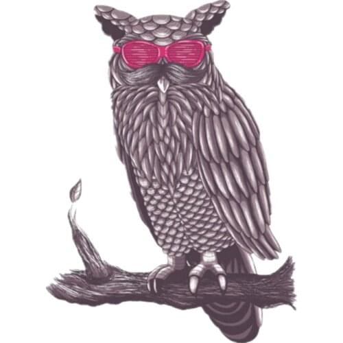 S41033# Various Sizes Funny Self-Adhesive Decal Coowl Car Sticker Waterproof Auto Decors on Bumper Rear Window