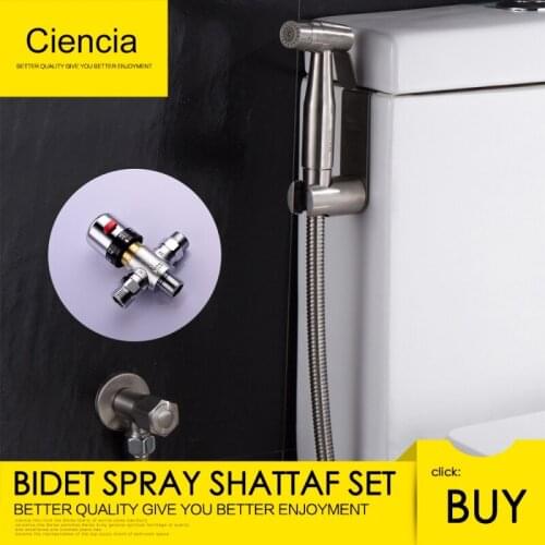 Free Shipping 304 Stainless Steel Brushed Nickle Double Water Mode Bidet Sprayer Shattaf With Thermostatic Valve