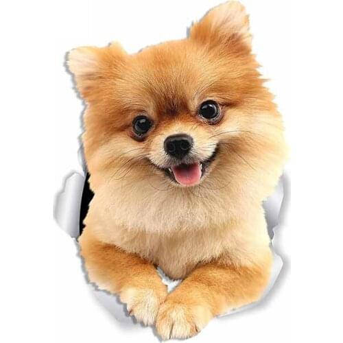 Dawasaru for Cute Pomeranian Dog Repair Car Stickers Personality Creative Decal Campervan Decals Decoration,13cm*9cm