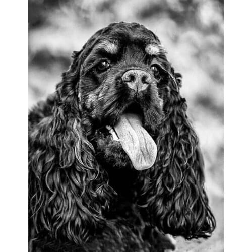 Yumeart Full Square Diamond Embroidery Black Cocker Spaniel Diy Diamond Painting Cross Stitch Mosaic Diamond Animal Art,pet Pal