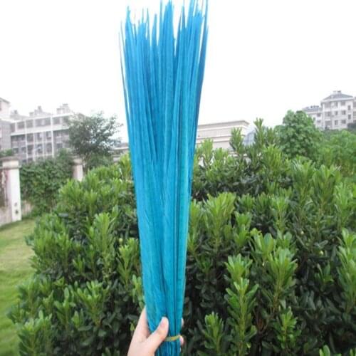 Wholesale 100 PCS / lot of beautiful sky blue chicken tail feathers 50 to 55 cm 20-22 inches celebration decoration