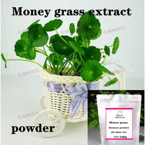 High Quality Money Grass Extract Powder / Off-the-shelf 10:1 Extract Money Grass Extract Powder / Free Shipping