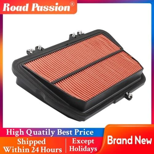 Road Passion Motorcycle Parts Air Filter For T2200557 Tiger 800 XC/XCX/XR/XRX 2010-2019