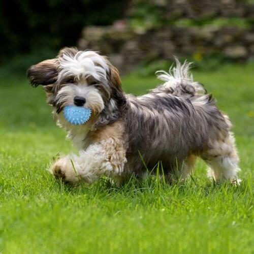 2PCS Dog Toy Ball Bite Resistant Rubber Sound Toy Dog Toys For Aggressive Chewers Training Toy Dog Play Ball Cosas Para Perros