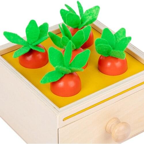 Montessori Wood Match Permanent Box Toddler Infant Coin Box 8-12 Month Toys for Baby Gift Hand-Foot Coordination Small Size