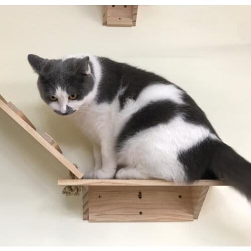 Useful tree Cat Scratching Posts