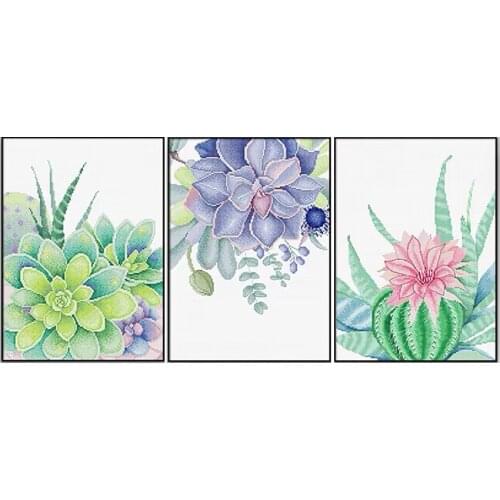 Mexican Gem Succulent Plant In Blossom Stamped Cross Stitch Kit, 15.8" x 19.7"