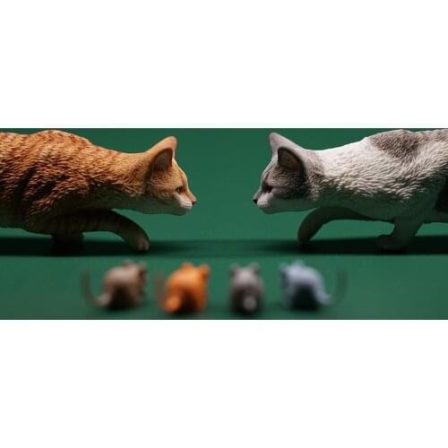 JXK 1/6 Chinese Garden Cat 2.0 Model Felis Catus Figure Collector Decor Kid Gift Cute Cat Ornaments Decoration