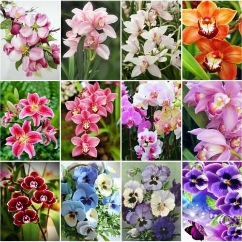 AZQSD Diamond Painting Lily Poppy Cross Stitch Handicraft Full Drill Diamond Embroidery Flower Mosaic Rhinestone Home Decor Gift