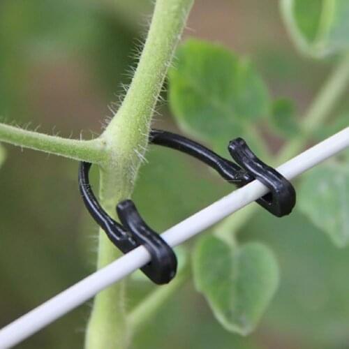 100Pcs Garden Plant Tied Buckle Fixed Lashing Hook Graft Clips Agricultural Tool