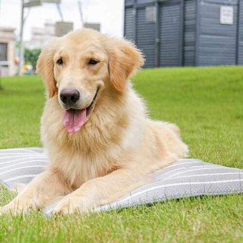 Summer Cooling Mat For Pet Large Ice Silk Cool Bed Dog Cat Breathable Blanket Cushion Puppy Kitten Home Sofa Floor Outdoor Mats