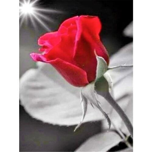 Flower Rose DIY Embroidery Cross Stitch 11CT Kits Needlework Craft Set Printed Canvas Cotton Thread Home Decoration Sale