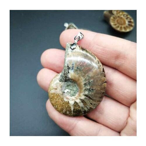 Natural Conch Ammonite Beads Half Cut Necklace Silver Wrapped Semi Precious Stone Beads Pendant Half Cut Friendly