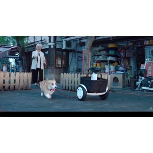 Xiaomi Portable Waterproof Balance Scooter Car with Foldable Handle