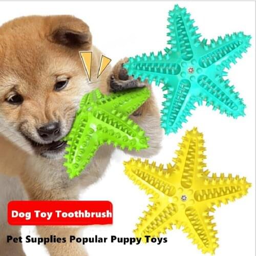 Dog Toy Toothbrush Durable Dog Squeak Chew Toy Star Rubber Tooth Cleaning Pet Molar Float On Water Toy Pet Supplies Dropshipping