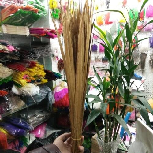 Hot Sale 500 Pcs Wholesale Golden Pheasants Feathers 20-22inches/50-55cm Stage Performances Wedding Decoration Accessories