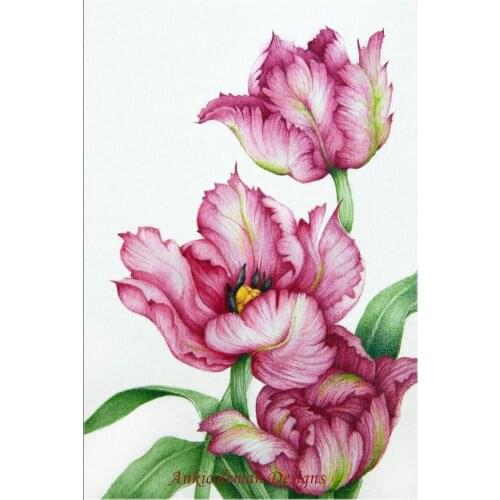 Embroidery Counted Cross Stitch Kits Needlework - Crafts 14 ct DMC color DIY Arts Handmade Decor - Red Parrot Tulips