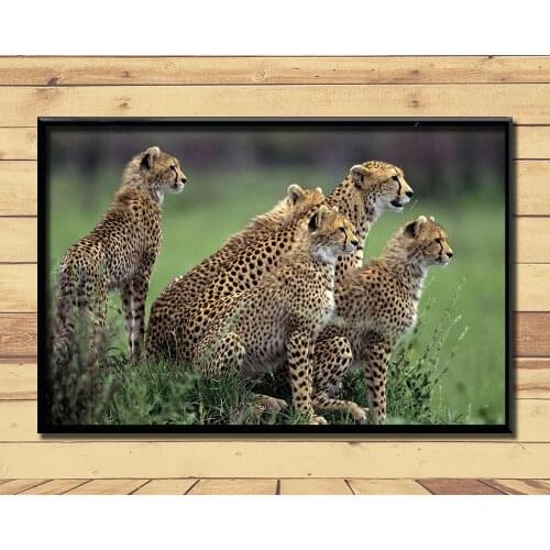 Cheetah Fierce Animal (19) Wall Posters Prints Silk Art Painting For Home Wall Bedroom Decor