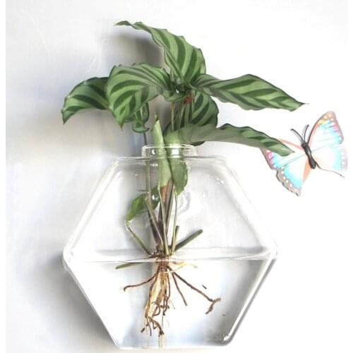 Wall Hanging Hydroponic Glass Vase Transparent Fish Tank Green Plant Plant Pot Creative Home Wall Hanging Decorations