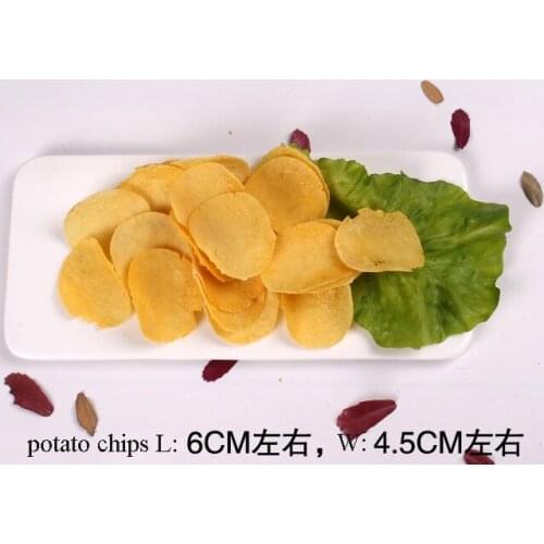 Simulation fried food model with Plate fake Fried squid rings sample Food Dish Handicraft Artificial Props Ornaments Display