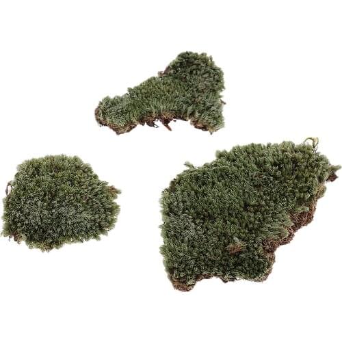 1:35 Scale Green Lichen Moss Ground Grass Lawn Model DIY for Military Armour