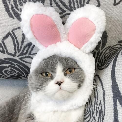 Funny Pet Dog Cat Cap Costume Warm Rabbit Hat New Year Party Christmas Cosplay Accessories Photo Props Headwear