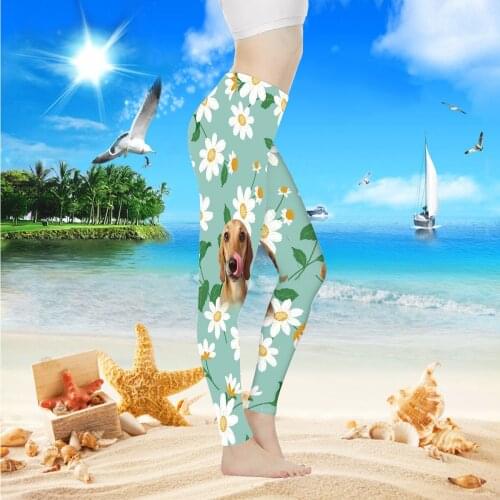 Товары для скалолазания и альпинизма PHAYON China At AliExpress